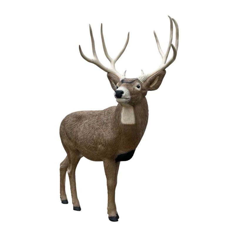 https://dynamicarchery.com/2025/07/14/rinehart-targets-3d/