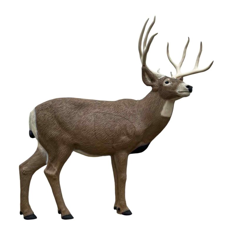 https://dynamicarchery.com/2025/07/14/3d-archery-targets-for-sale/