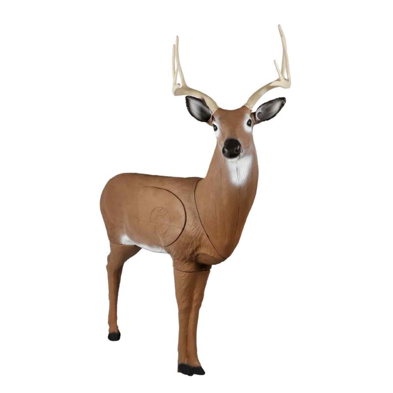 https://dynamicarchery.com/2025/07/14/3d-deer-archery-target/