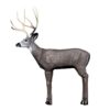 Delta McKenzie Mule Deer 3D Target
