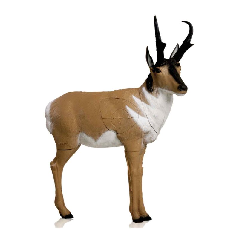 https://dynamicarchery.com/2013/08/11/3d-deer-targe
