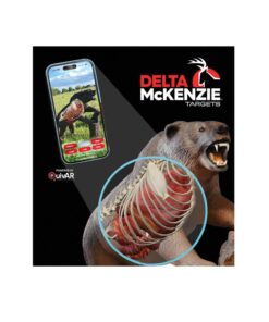 Delta McKenzie Grizzly Bear Pro 3D Target