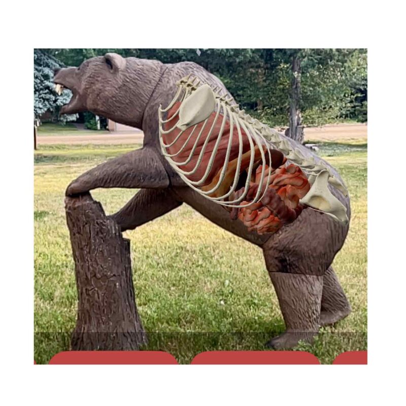 https://dynamicarchery.com/2025/07/14/3d-targets-for-bows/
